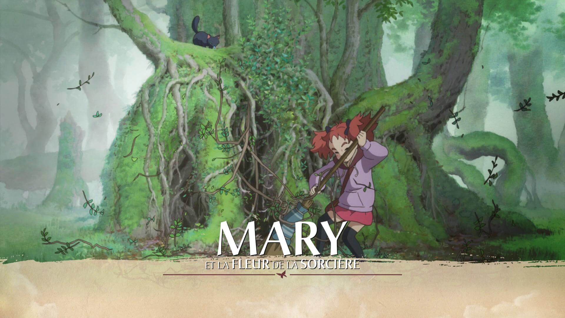 Sortie DVD Mary et la fleur de la sorcière: quand Ponoc ne rivalise pas-  vraiment avec Ghibli - Baz'art : Des films, des livres