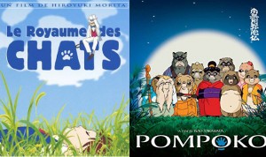 pompoko et royaume des chats en blu-ray ghibli