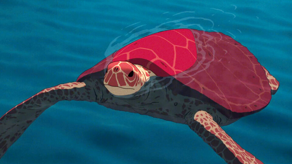 tortue rouge